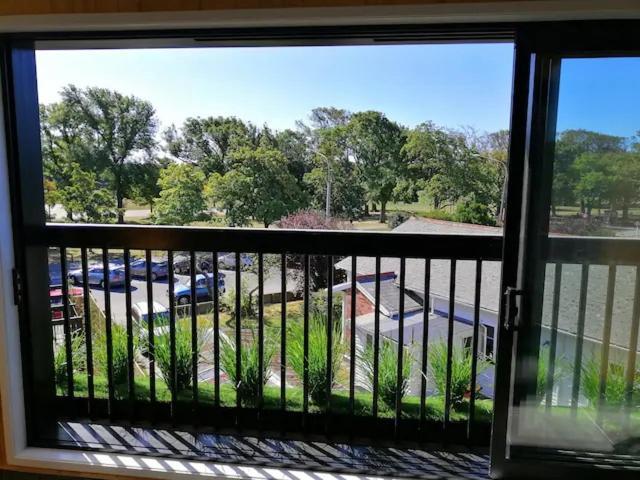 Cozy 1Br Apartment With Hagley Park View 基督城 外观 照片